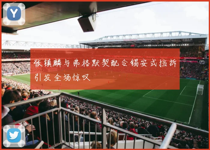 张镇麟与弗格默契配合锡安式挡拆引发全场惊叹
